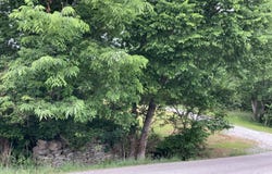 2041 Mill Creek Pike, Lawrenceburg, KY 40342