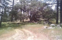 Jawbone Canyon, Caliente, CA 93518
