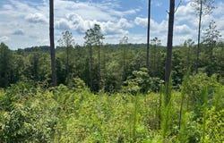Lot 147 Creekside, Talking Rock, GA 30175