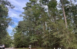 91 Twinstone Cir, Coldspring, TX 77331
