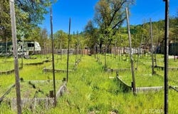 180 Ryan Ln, Hayfork, CA 96041