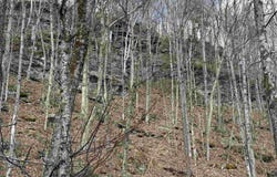 493 Wheeler Mountain Road, Barton, VT 05822