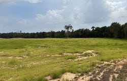 0 Hwy 43, Kiln, MS 39556