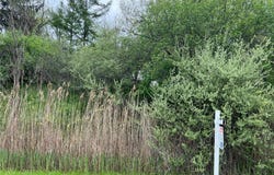 1096 Rush-Hen Town Line Road, Rush, NY 14543