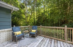 790 Thompson Road, Saluda, NC 28773