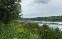 Tbd Bass Lake Lane, Aurdal Twp, MN 56586