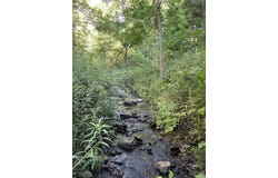 Route 70, Portage, NY 14517