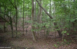River Road lot: 6, Blounts Creek, NC 27814