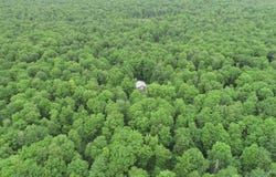 40 acres The Grade, Amasa, MI 49920