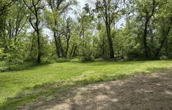 28131 66th Street, Bangor, MI 49013