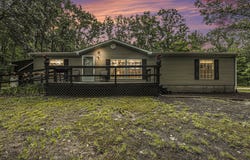 797 Beaver Road, Bitely, MI 49309