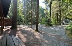 Cabin 62 Northwoods, Cougar, WA 98616