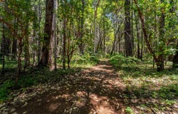 7443 Rockydale Road, Cave Junction, OR 97523