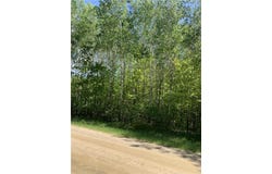 Tbd 63rd Ave N, Walker, MN 56484