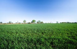 0000 E Tower Rd Tract 1, Ponca City, OK 74601