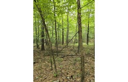 38 Algonquin Trail, Jay, NY 12941
