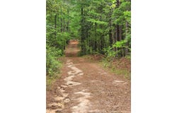 301C1, Brooklyn, MS 39425