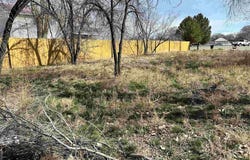 Kellogg Street, Delta, CO 81416