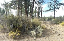 R.S.B. 23-156 A-12, Montague, CA 96067