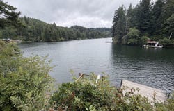 6260 Black Bear Road, Florence, OR 97439