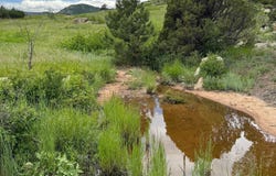 2302 W County Road 82e, Livermore, CO 80536