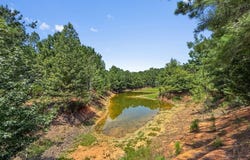 4154 Hwy 131, Clayton, AL 36016
