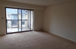 6 BAILIFFS CT #301, LUTHERVILLE TIMONIUM, MD 21093