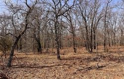 365 Road, Okemah, OK 74859