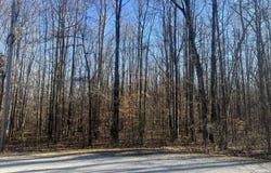 Excalibur Trail (Lot 261), Cedar Grove, TN 38321