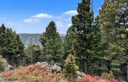 30 Bunks Trail, Ennis, MT 59729