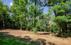 Lot 3 E 419th Road, Bolivar, MO 65613