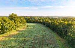 000 E 241st Street Lot:AHLC 20, Clevelenad, MO 64734