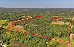52 Acres Tannerville Road, Kaleva, MI 49645