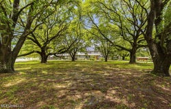 398 Green Acres A Drive, Canton, MS 39046