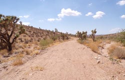 329-02-032 GEORGINA WAY, WHITE HILLS, AZ 86445