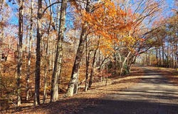 Bertha Allen Road lot: 1&2, Westminster, SC 29693