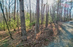 19.44 Mt Mcgurder Road, Ellijay, GA 30536