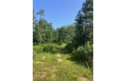 132 Madison CR 410, Fredericktown, MO 63645