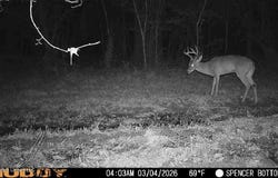 Bogue Chitto Road, Bogue Chitto, MS 39629