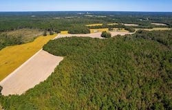 001 House Road, Summerton, SC 29148