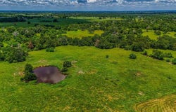 9239 Fm-1696, Bedias, TX 77831