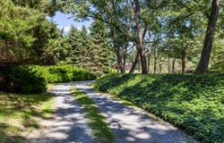17 Bond Lane, Brookhaven, NY 11719