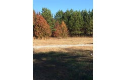 Old Hickory Blvd E, Jackson, TN 38305