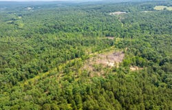 Tract 3 Harmony Mountain Road, Clinton, AR 72031