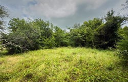 Lot 3 County Road 173, Marlin, TX 76661