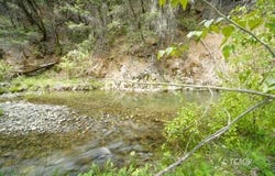 2215 Little Browns Creek Rd, Weaverville, CA 96093