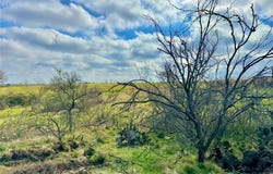 2015 County Road 455, Coupland, TX 78615