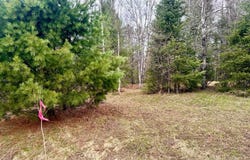 2 Acres ST LOUIS RD, Phelps, WI 54554