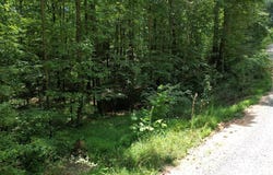 Lot 159 Jumper Drive, Ellijay, GA 30540