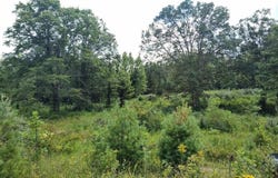 1150 Logan Hollow-Copperas Branch Road, Morehead, KY 40351
